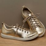 Laranja_Lima_Shoes_Sapatos_Femininos___Tenis___Cano_Baixo_em_Couro_Metalizado_-_Codigo_-_148083_3