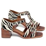 Laranja_Lima_Shoes_Sapatos_Femininos___Sandalia___Laranja_Lima_Shoes_Classic_Salto_de_5_cm_em_Couro_Animal_Print_-_Codigo_-_157011_1