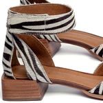 Laranja_Lima_Shoes_Sapatos_Femininos___Scarpin___Bico_Fino_Salto_de_3_cm_em_Couro_Zebra_-_Codigo_-_3902_5