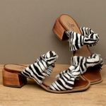 Laranja_Lima_Shoes_Sapatos_Femininos__-Sandalia---Laranja-Lima-Shoes-Classic-Salto-de-4-cm-em-Couro-Animal-Print---Codigo---9640_3