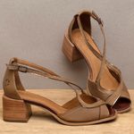 Laranja_Lima_Shoes_Sapatos_Femininos__-Sandalia---Laranja-Lima-Shoes-Classic-Salto-de-5-cm-em-Couro-Caramelo---Codigo---3887_3