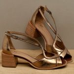 Laranja_Lima_Shoes_Sapatos_Femininos__-Sandalia---Laranja-Lima-Shoes-Classic-Salto-de-5-cm-em-Couro-Metalizado---Codigo---3887_3