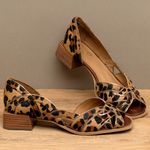 Laranja_Lima_Shoes_Sapatos_Femininos__-Sandalia---Laranja-Lima-Shoes-Classic-Salto-de-3-cm-em-Couro-Onca---Codigo---157019_3